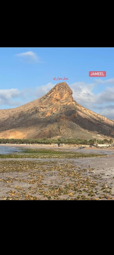 صور سقطرى
